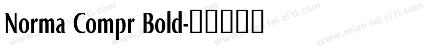 Norma Compr Bold字体转换